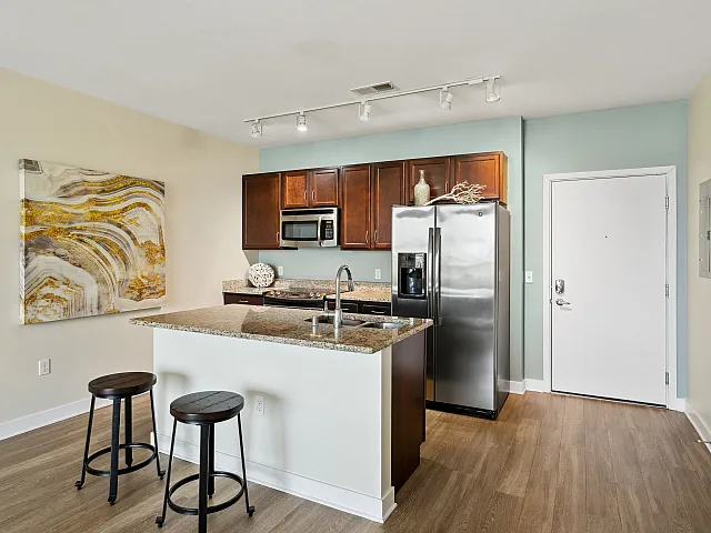Modern kitchen with elegant granite countertops, stainless steel appliances, sleek cabinets, and artistic wall decor, ideal for stylish living.