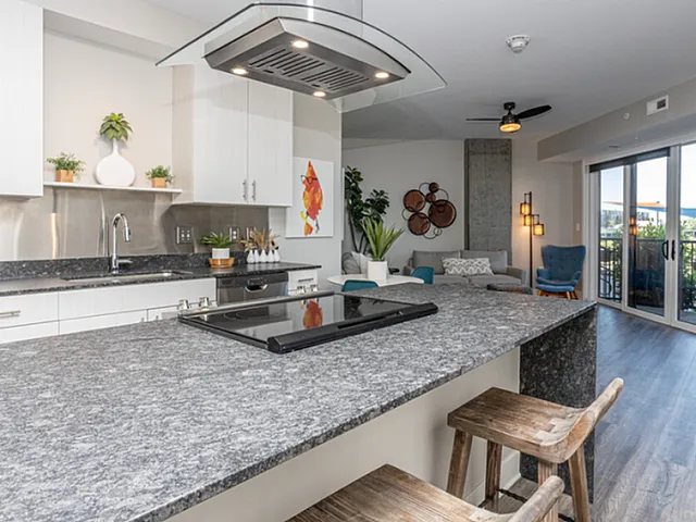 Modern kitchen and living area with sleek countertops, stylish decor, and large windows offering abundant natural light.