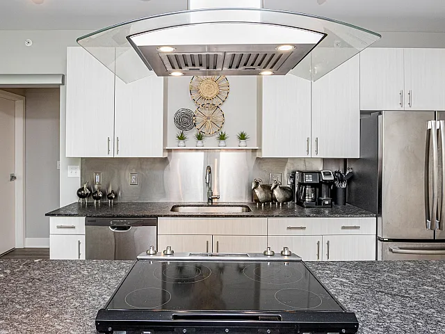 Contemporary kitchen with sleek stainless steel appliances, elegant granite countertops, and chic modern decor.