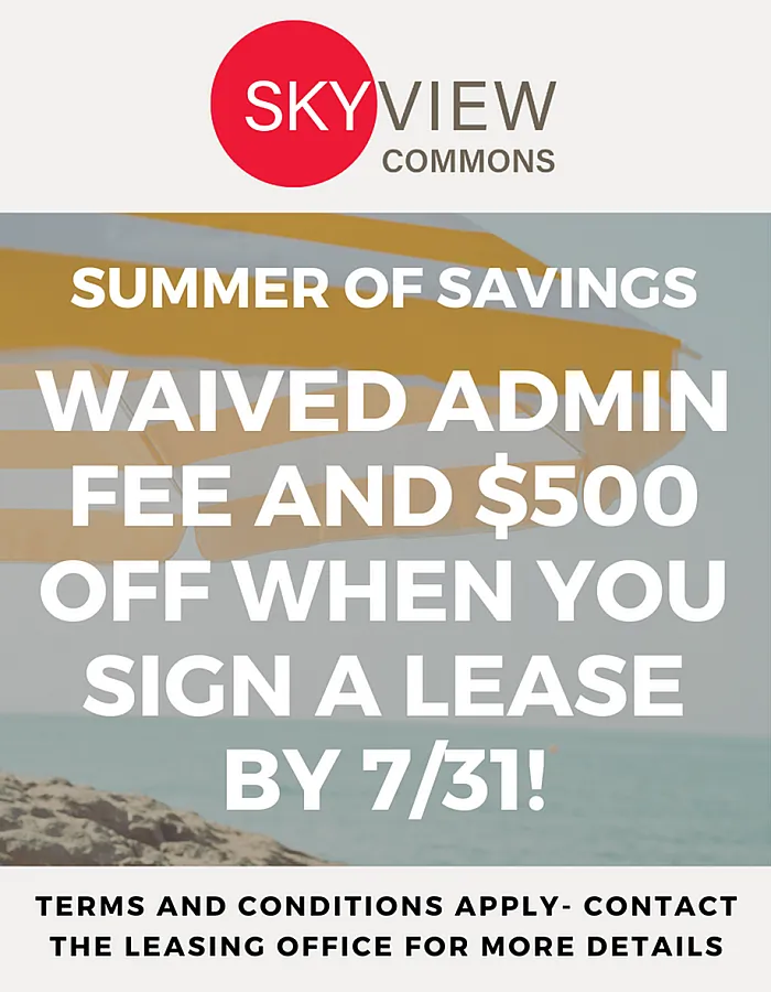 Skyview Commons