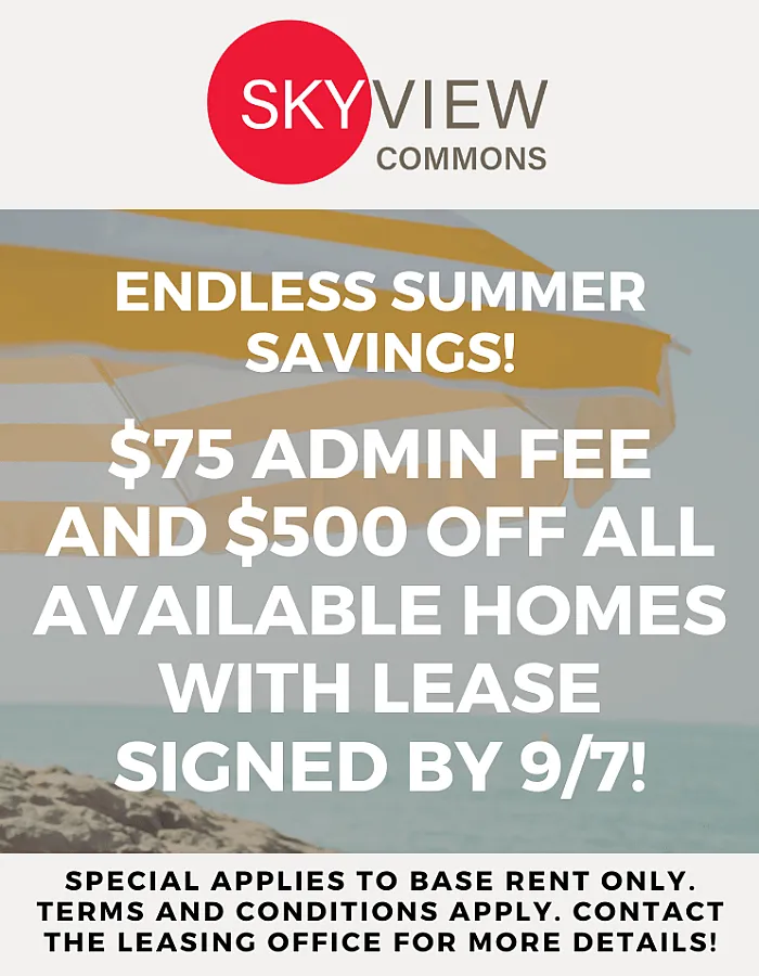 Skyview Commons