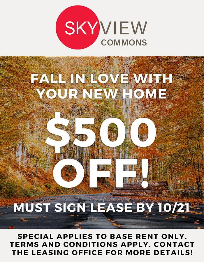 Skyview Commons