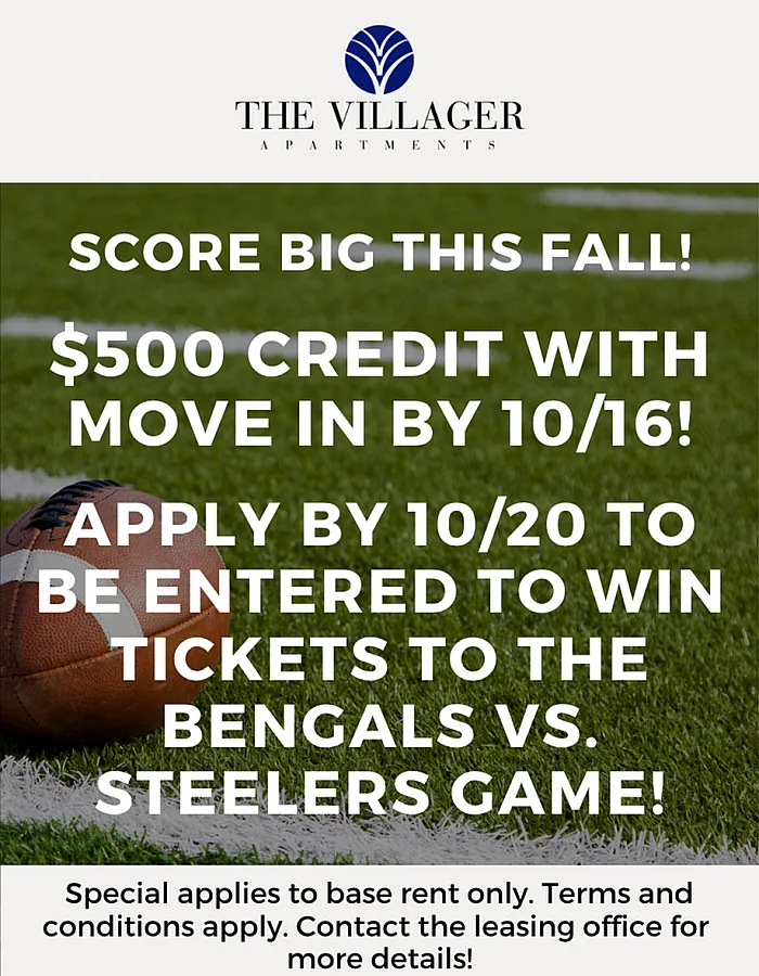 The Villager-LGR