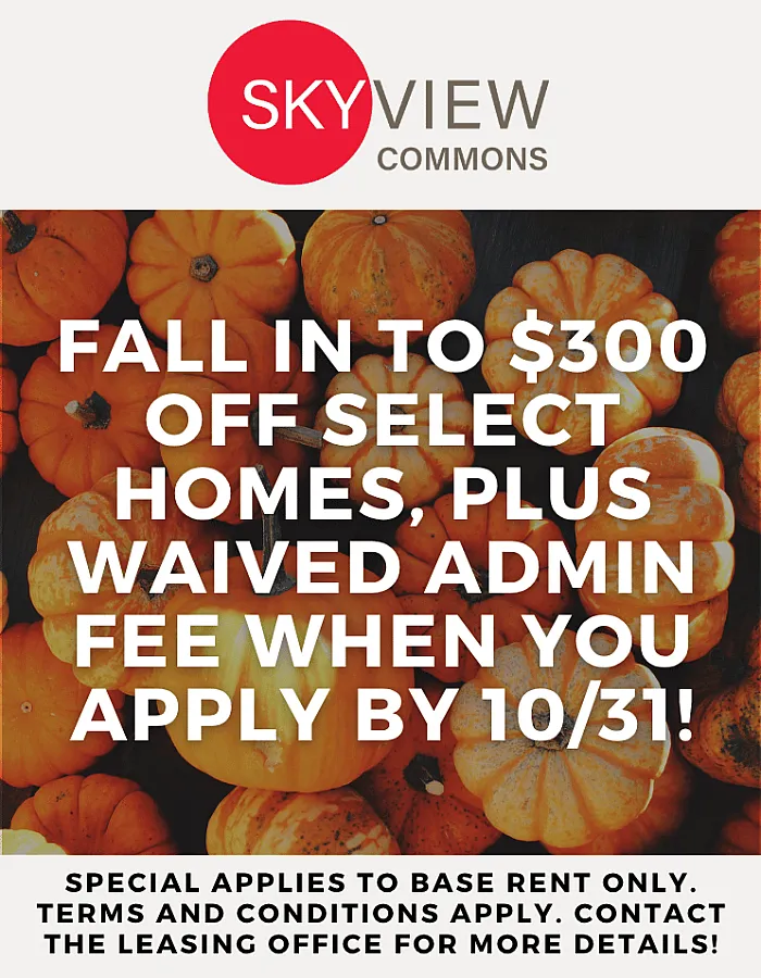 Skyview Commons