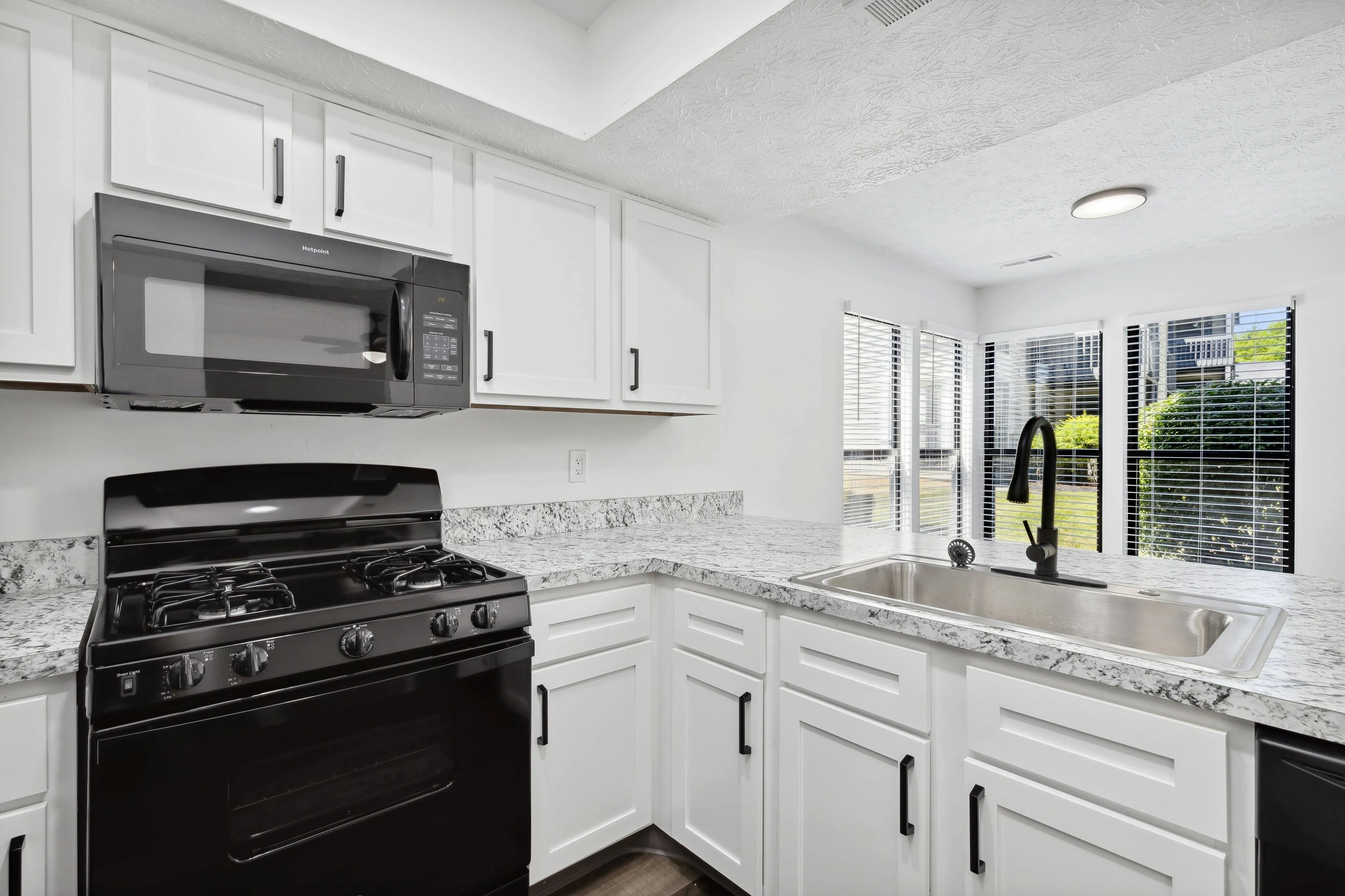 Updated Modern Kitchen Highland Park