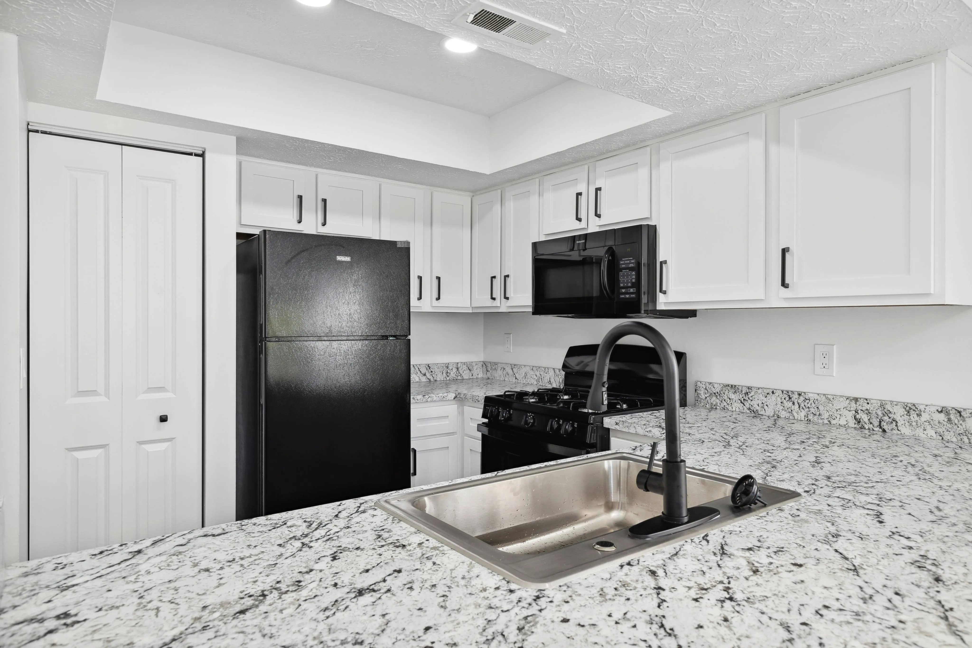 Highland Park Modern Kitchen Renovated