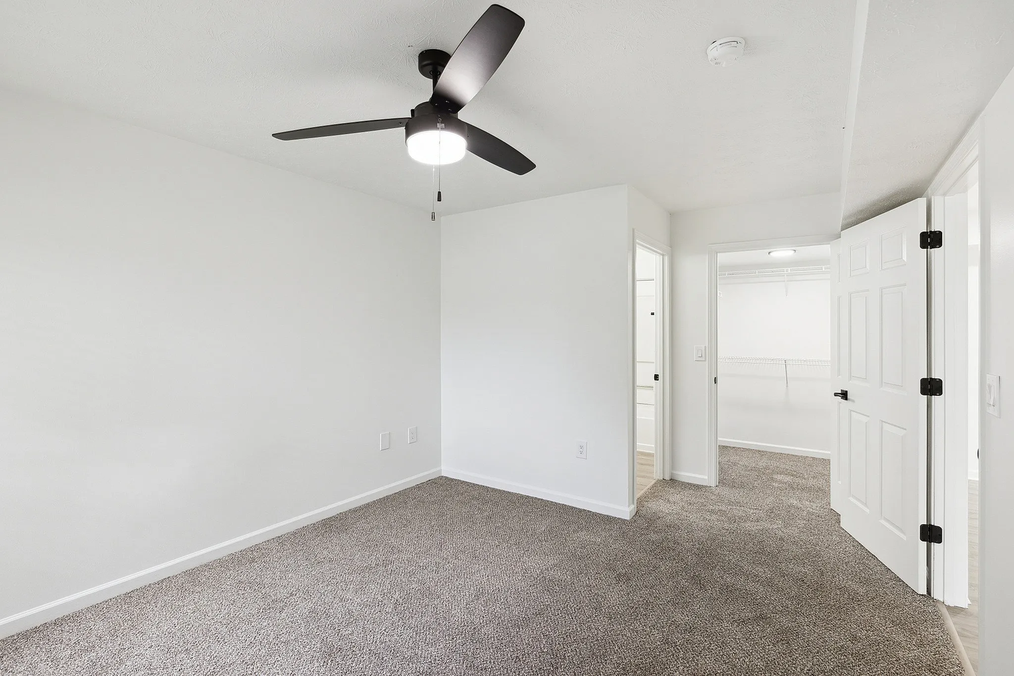 Bright and inviting bedroom featuring plush carpet and a modern ceiling fan, leading to a spacious, well-organized walk-in closet.