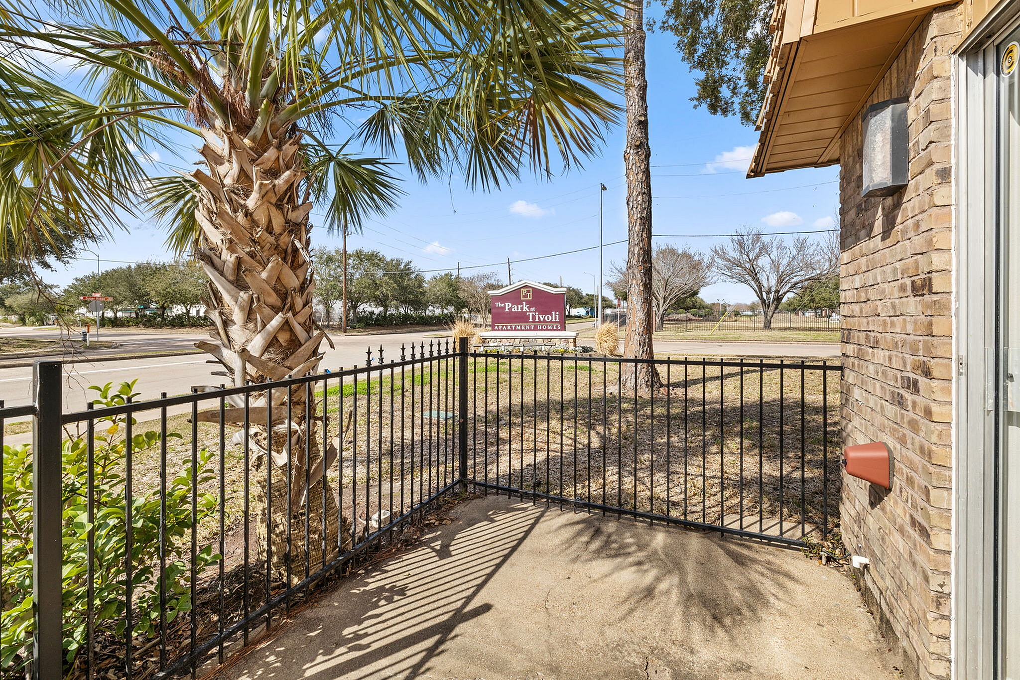 Charming outdoor space at The Park at Tivoli, featuring a picturesque palm tree, inviting fence, and sunny ambiance.