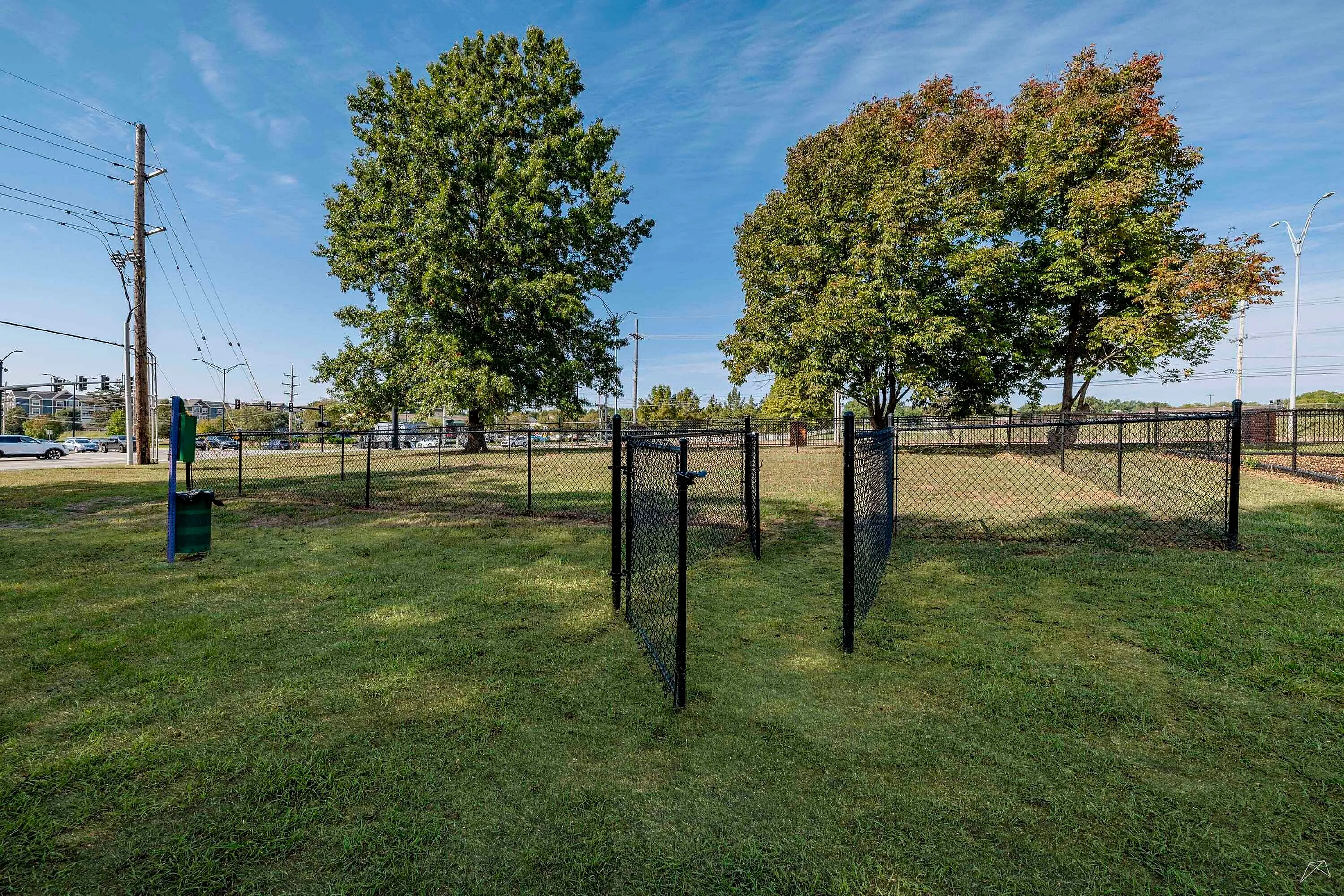 Inviting community dog park with lush green grass, sturdy fencing, and mature trees under a bright blue sky.