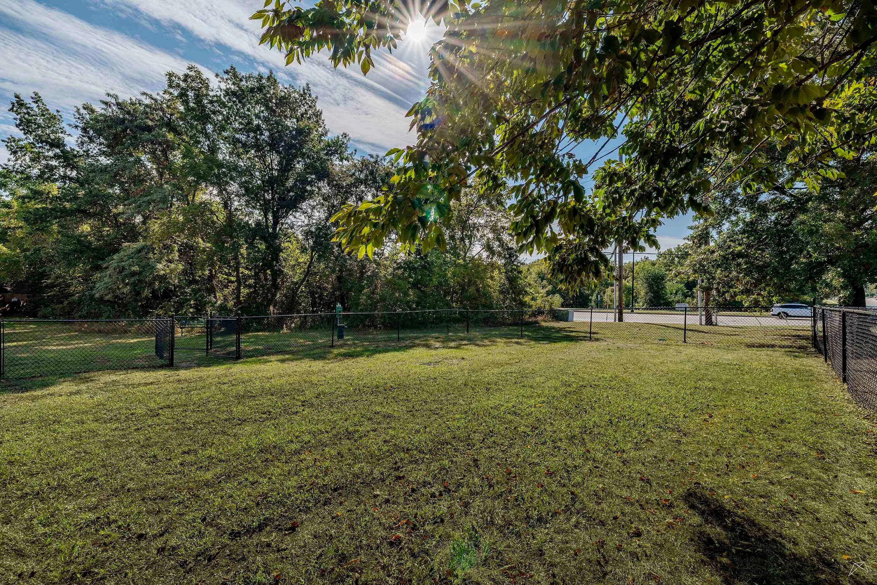 Tranquil outdoor space with lush greenery, perfect for relaxation and enjoying nature.