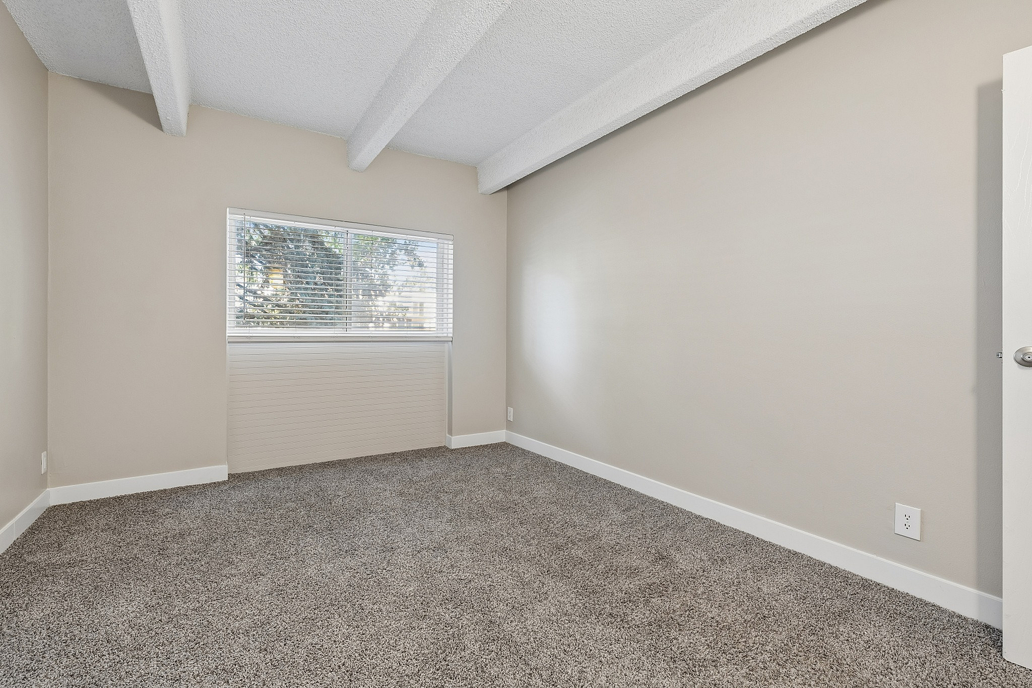 Bright, cozy bedroom with plush carpeting, large window, and neutral walls exuding warmth and comfort.