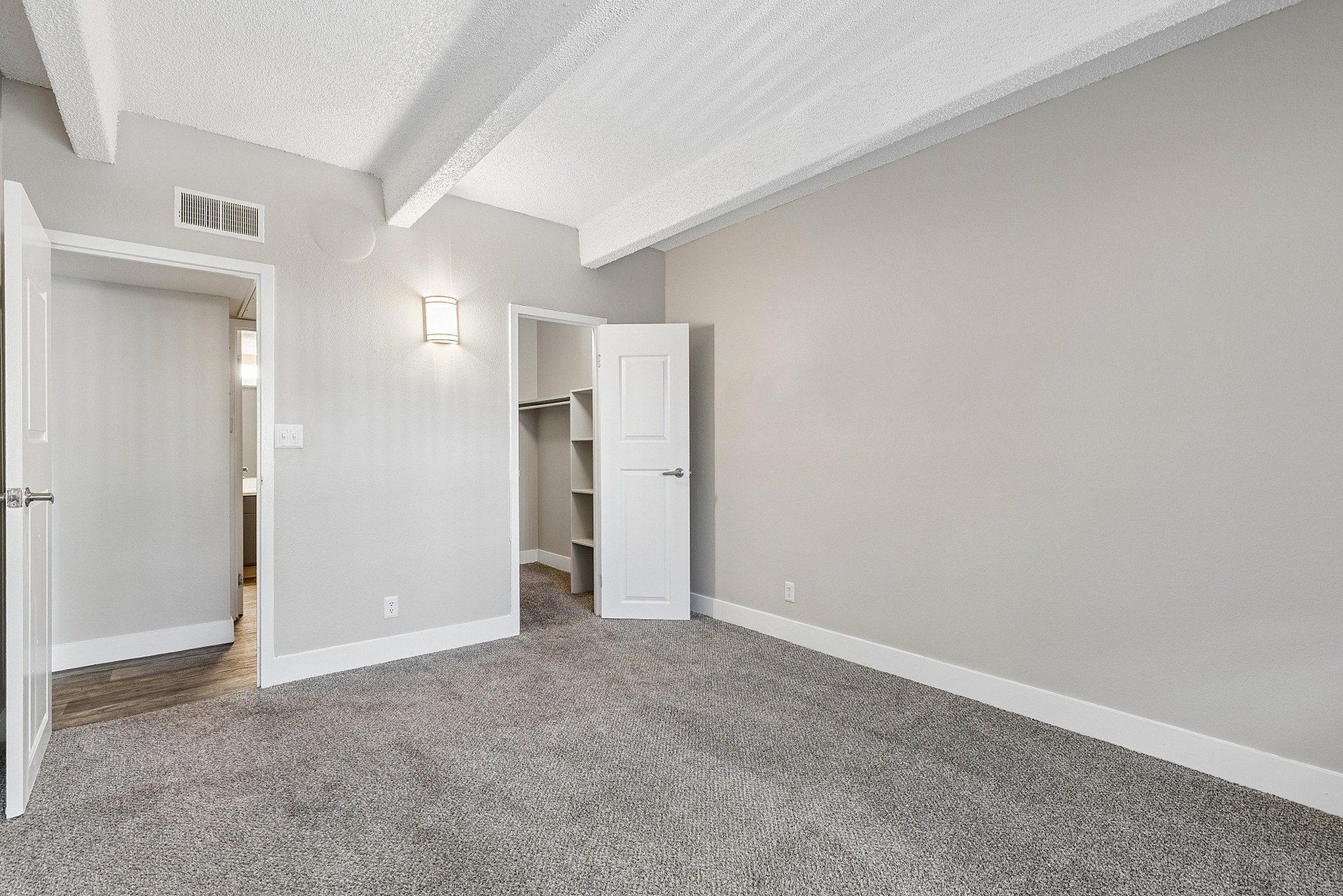 Bright and spacious empty room featuring cozy carpet flooring, an open closet, and modern lighting perfect for customization.
