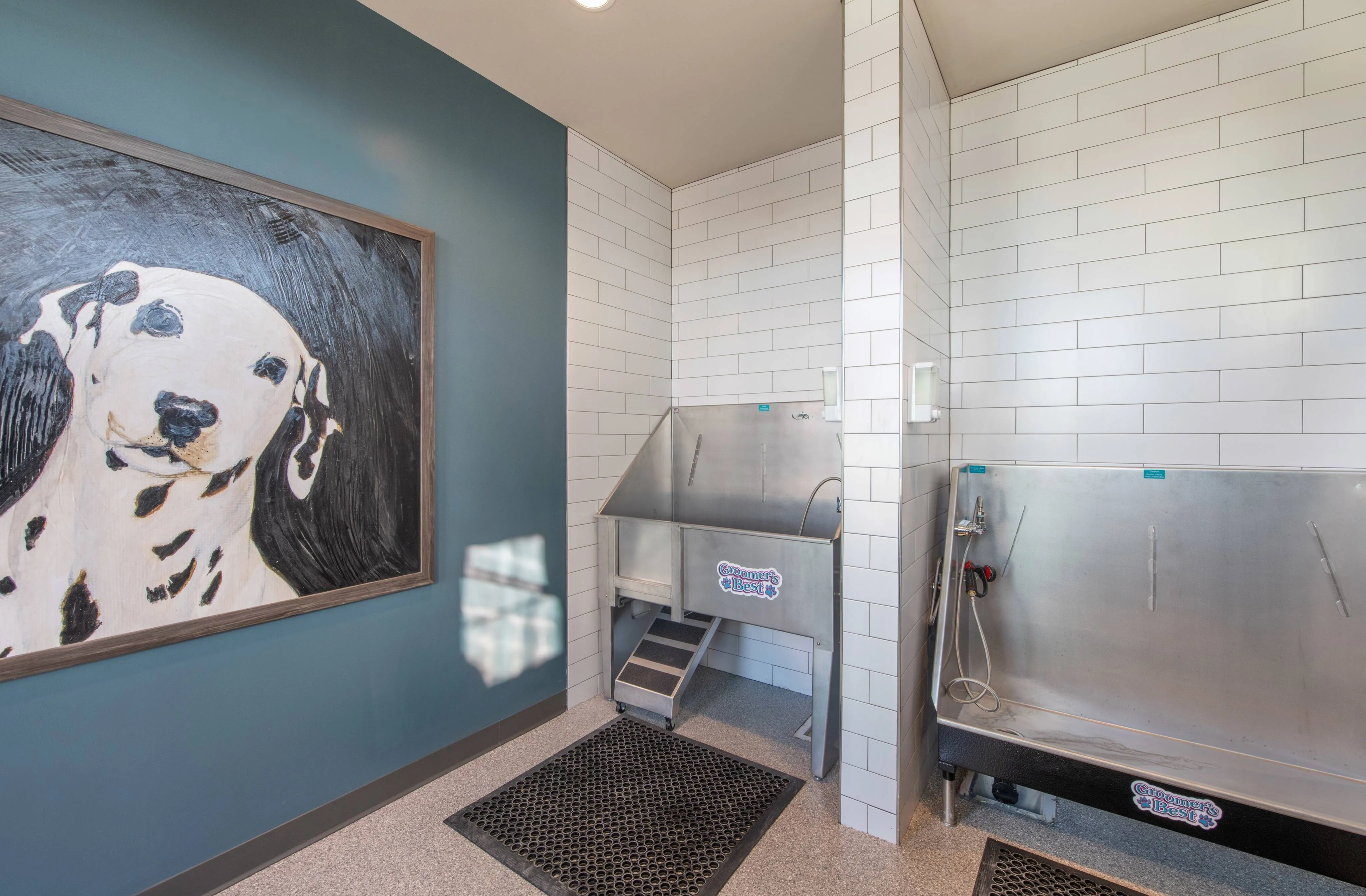 Paw Spa pet wash