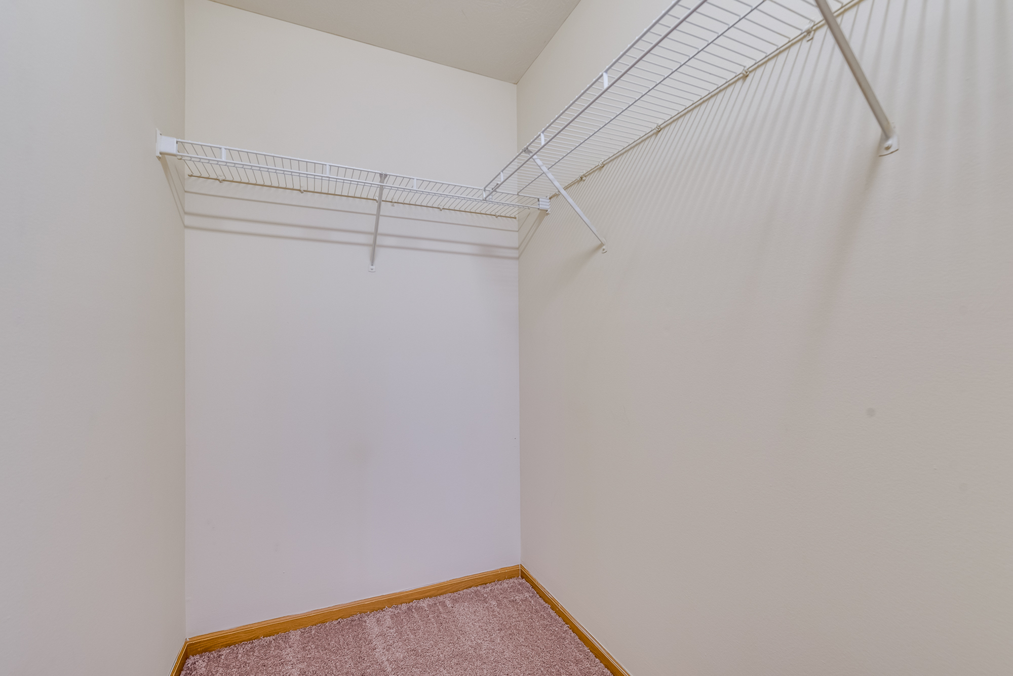 Spacious walk-in closet with sleek white shelving and plush carpeting.