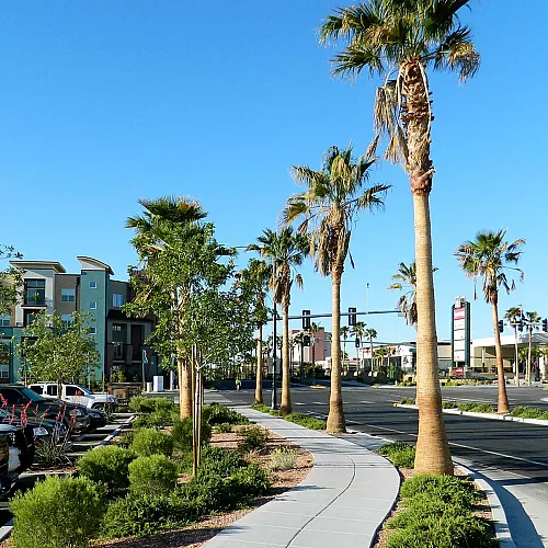 Inviting urban scene featuring palm tree-lined sidewalk and modern apartment buildings under a clear blue sky.