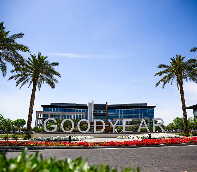 Vibrant entrance to a modern building in Goodyear, adorned with striking palm trees and colorful flower beds.
