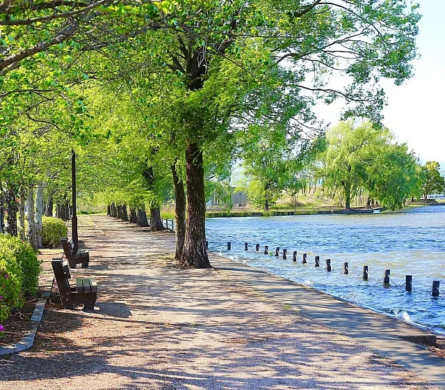 Serene lakeside pathway with lush green trees, vibrant flowers, and inviting benches under the warm sunlight.