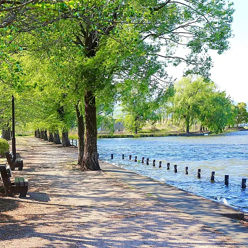 Scenic riverside pathway lined with lush green trees and inviting benches, perfect for a relaxing stroll.