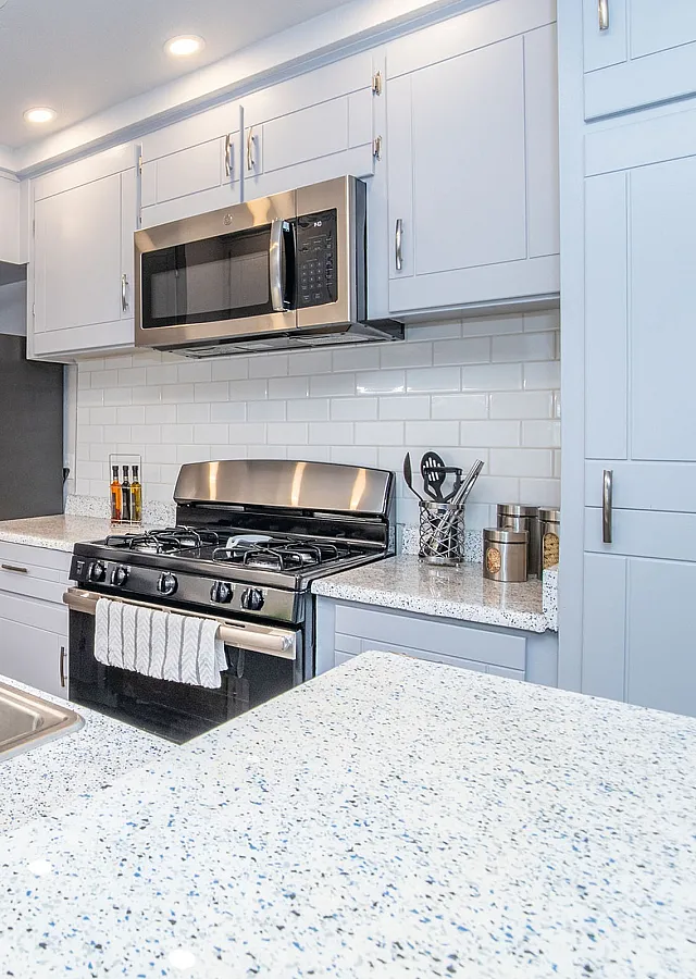 Modern kitchen with sleek stainless steel appliances, elegant white cabinetry, and a stylish countertop, accented by vibrant greenery.