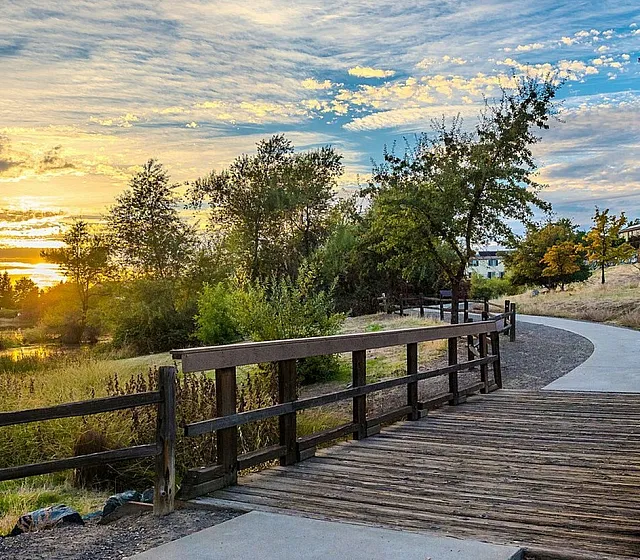 Charming pathway surrounded by lush greenery and vibrant trees under a beautiful sunset sky.