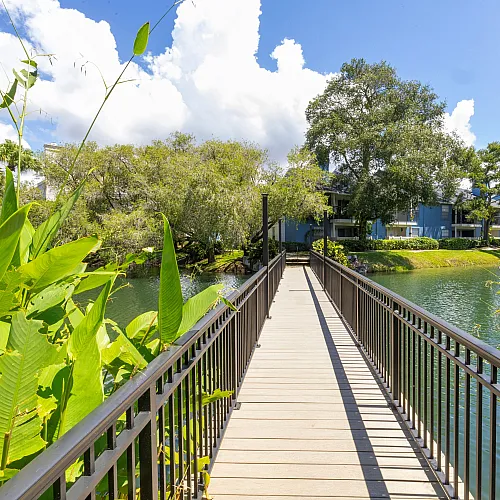 Scenic view from a charming wooden bridge over a tranquil pond, surrounded by lush greenery and modern apartments in the background, under a bright blue sky.