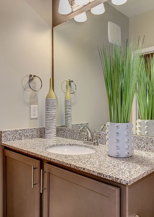 Elegant bathroom with granite countertop, stylish vase, and vibrant greenery adding a touch of nature.
