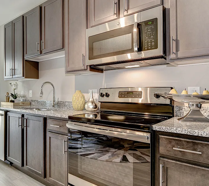 Contemporary kitchen with sleek dark cabinets, stainless steel appliances, and stylish decor, illuminated by natural light from large windows.