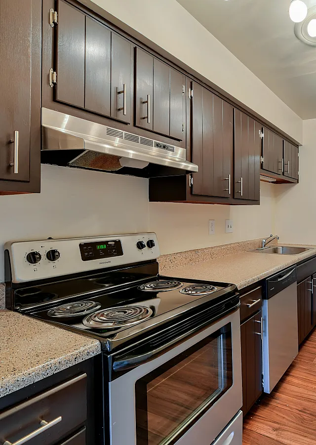 Sleek modern kitchen with dark wood cabinets, stainless steel appliances, and elegant lighting.