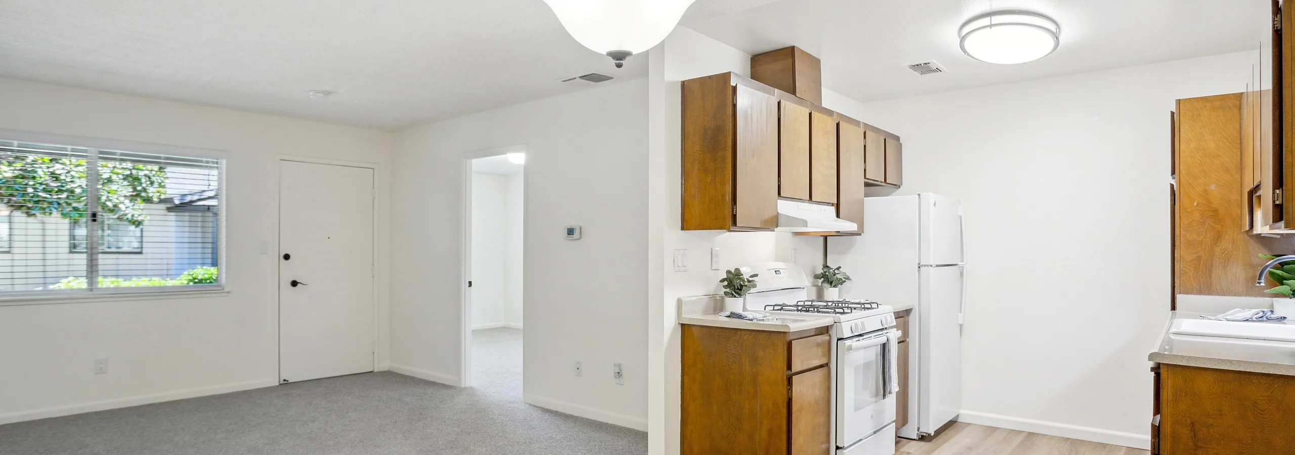 Bright and inviting open-plan apartment with stylish kitchen, cozy living area, and natural light from large window.