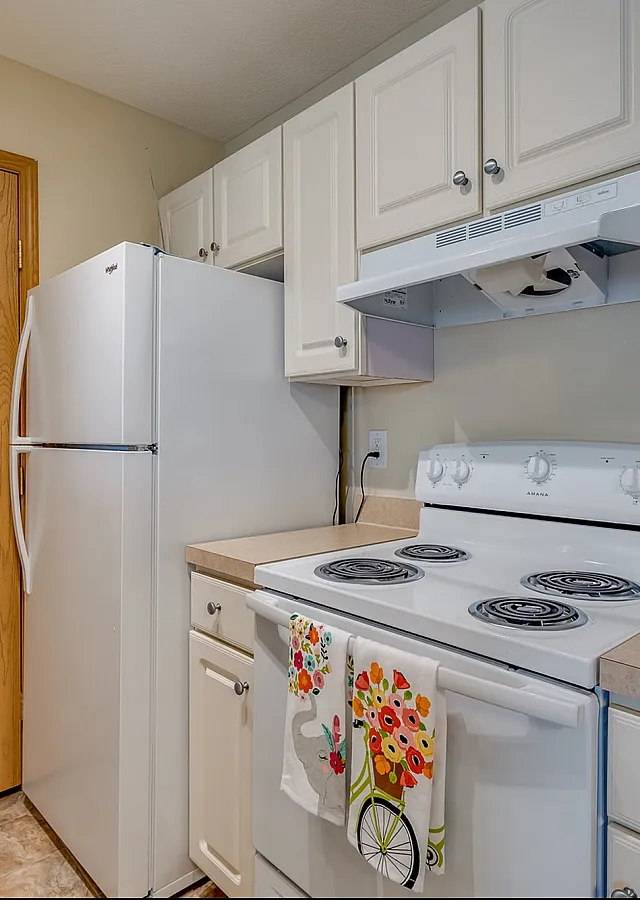 Charming kitchen with sleek white appliances, stylish cabinetry, and decorative towel accents.