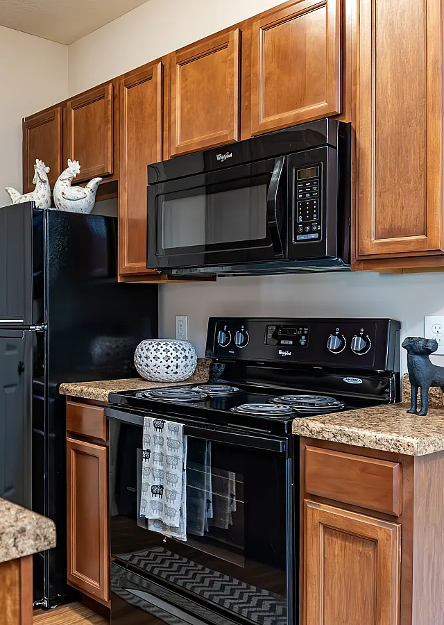 Modern kitchen with elegant wooden cabinetry, sleek black appliances, and a polished granite countertop for a stylish cooking experience.