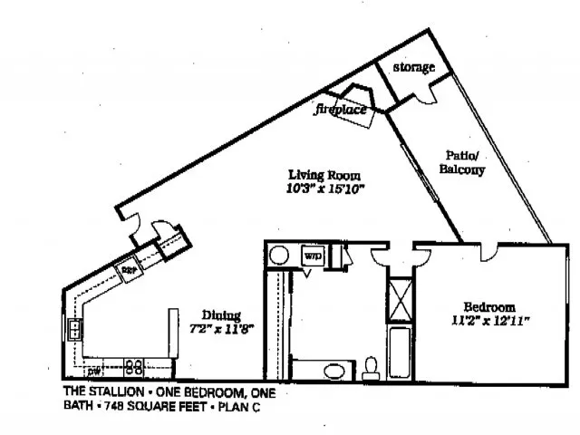 CULPEPER FARMS LLC - The Stallion