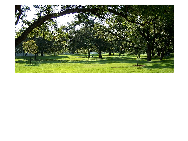 Cameron Park
