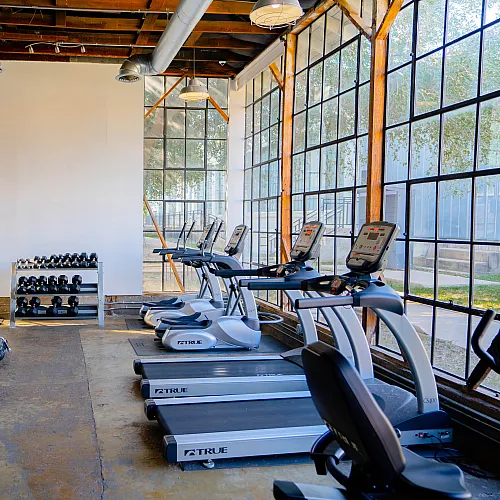 Contemporary gym space with treadmills, exercise machines, and large windows.