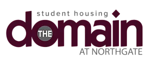 Modern logo for The Domain at Northgate, highlighting premium student housing options.