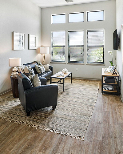 Eclipse on Madison - Cozy Living Room
