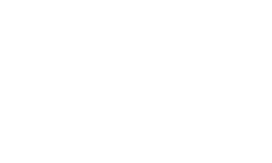 Palisade Property Logo