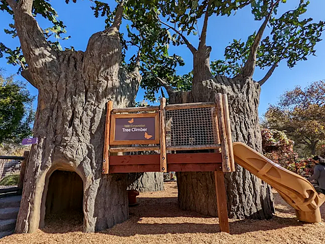 Charming tree-themed playground featuring a wooden slide, inviting children to explore and climb within nature-inspired structures.