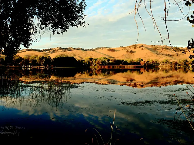Serene lakeside view with lush greenery, calm water reflections, and rolling hills under a blue sky.