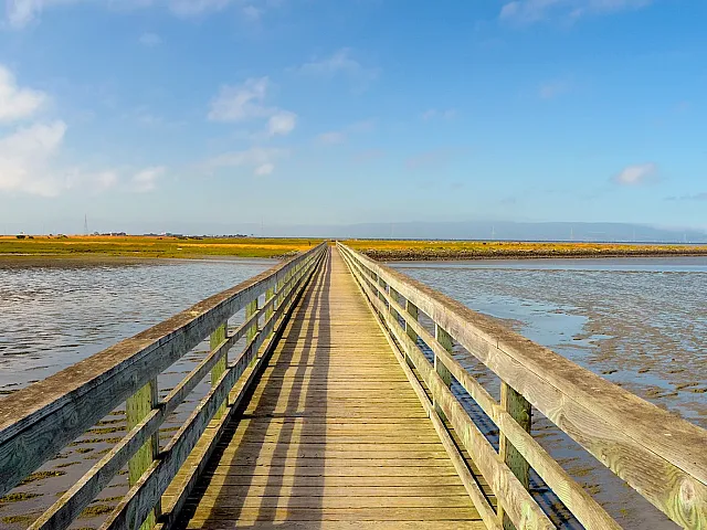 Charming wooden walkway stretching across a serene coastal landscape under a bright blue sky, perfect for a tranquil stroll.