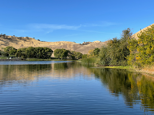Scenic Lake View