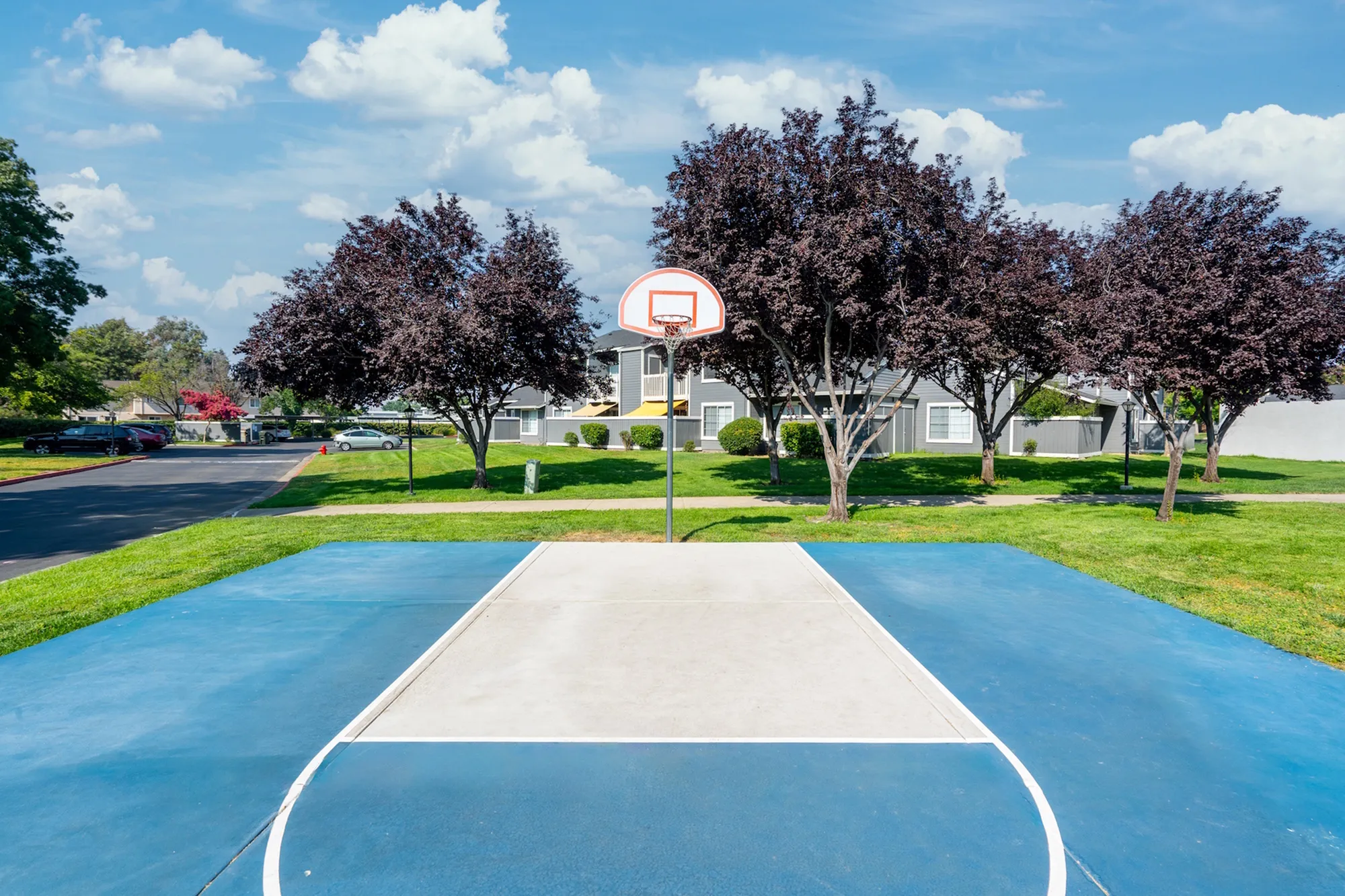 Basketball Court  | Apartments in Livermore, CA | The Arbors Apartments