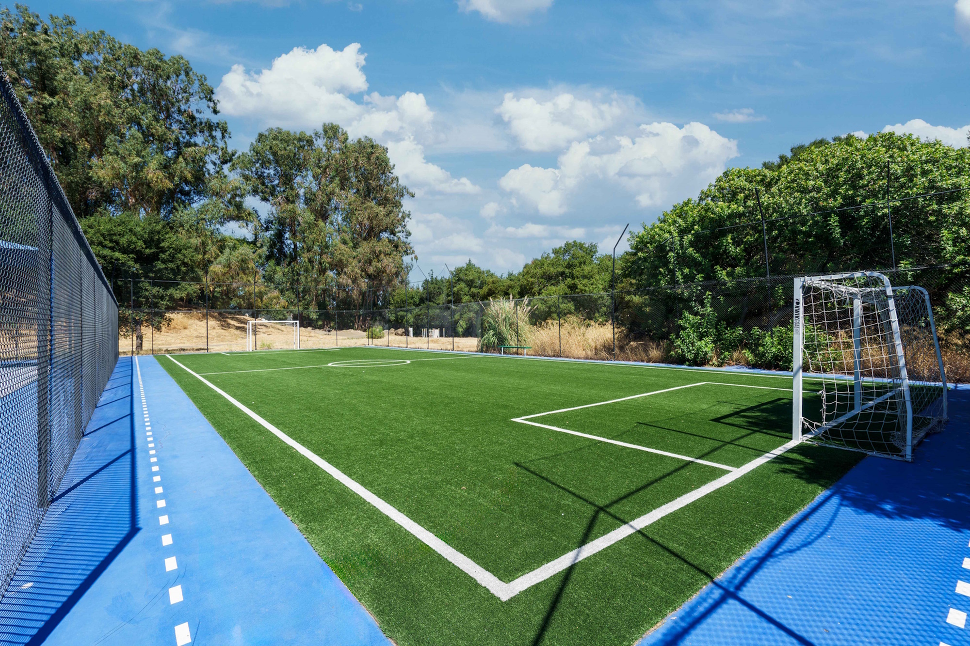 Pristine outdoor soccer field with vibrant green turf and blue walkway, surrounded by lush greenery and trees under a clear sky.