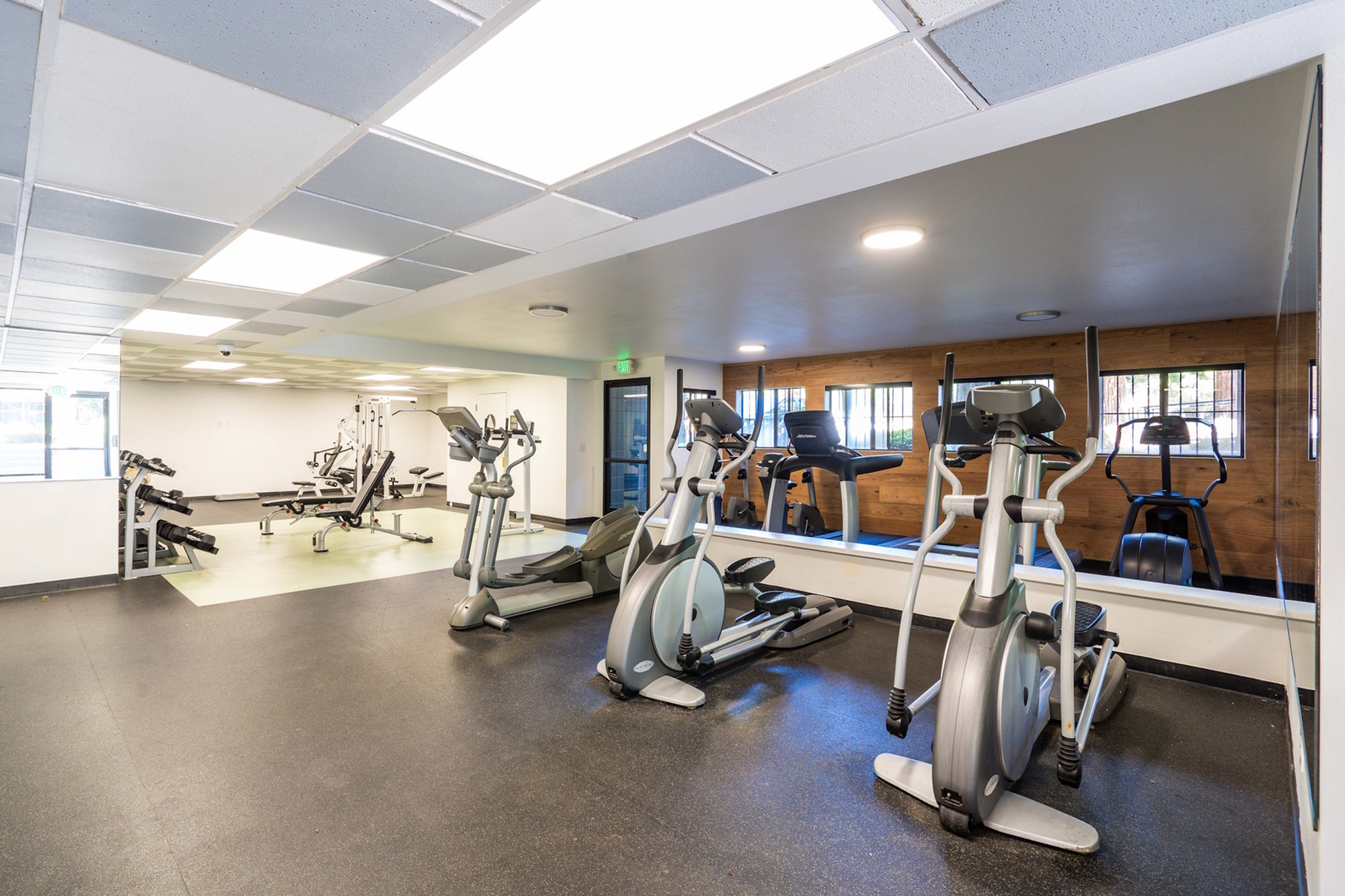 Bright and spacious gym with various exercise equipment including treadmills, ellipticals, and weight machines, offering a motivating workout environment for residents.