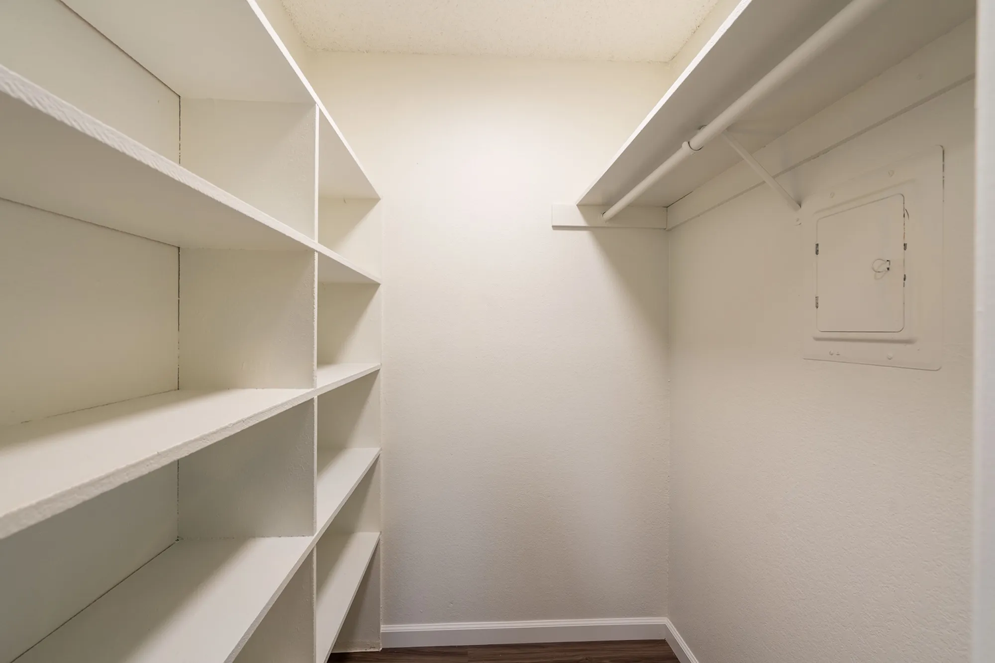 Bright and spacious walk-in closet with built-in shelves and hanging rod