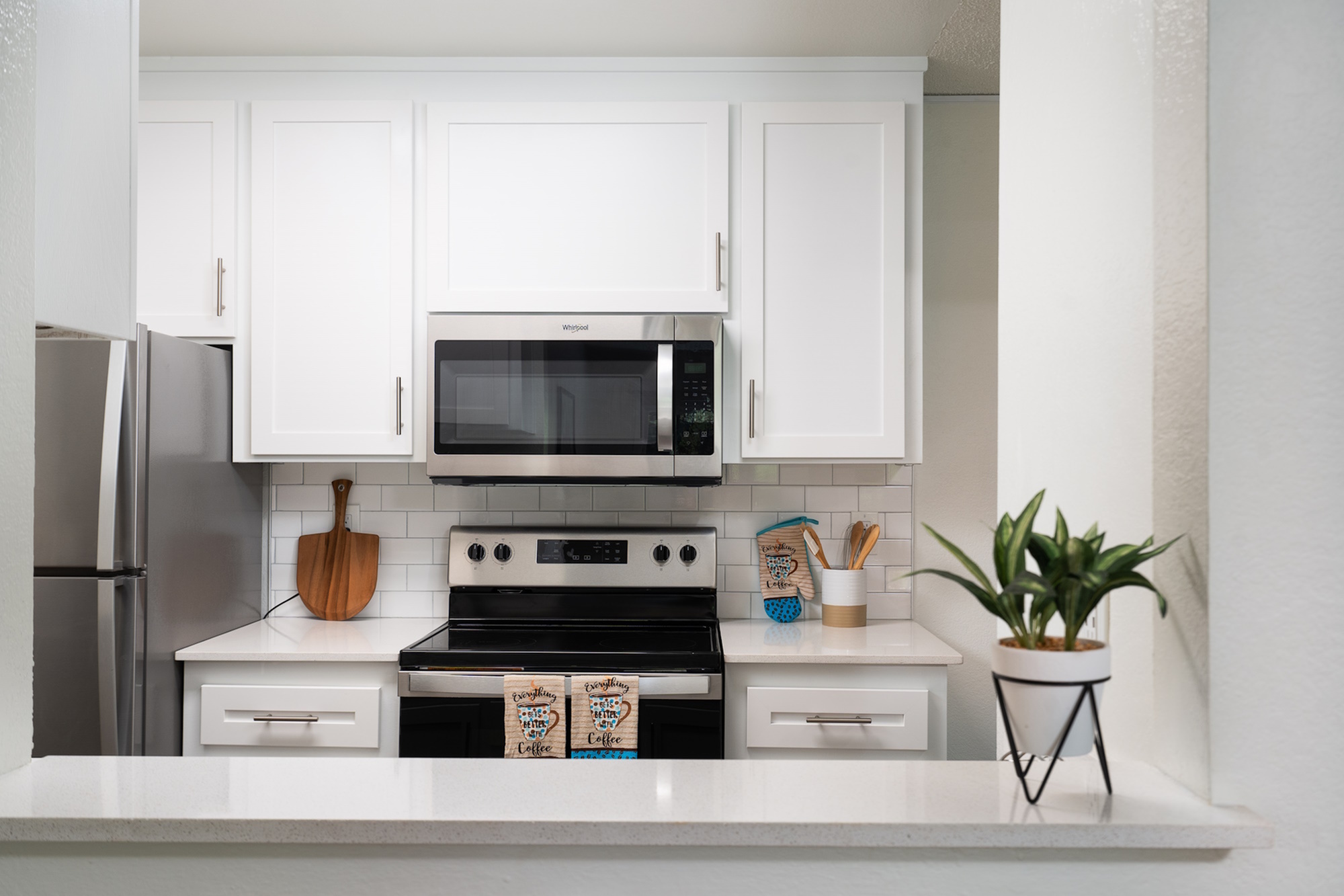 Contemporary kitchen with stainless steel appliances and white cabinetry