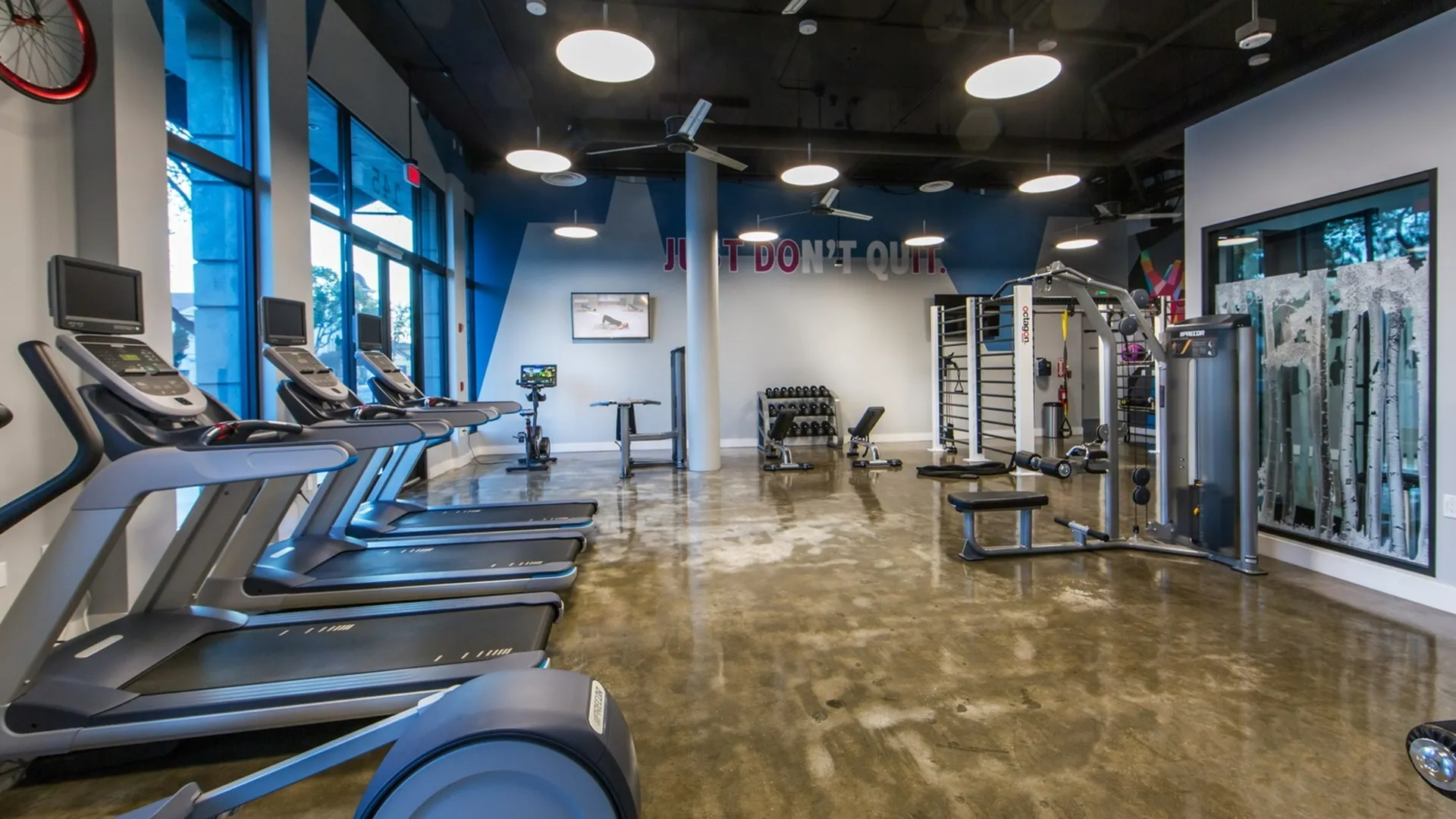 gym