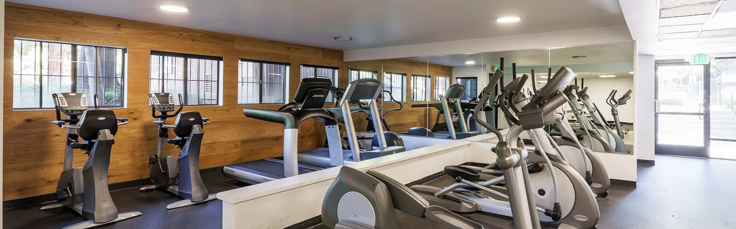 Spacious modern gym with treadmills and ellipticals, bright natural light