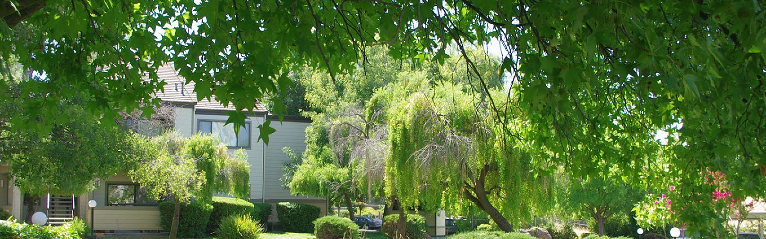 Twin Creeks - Lush Greenery