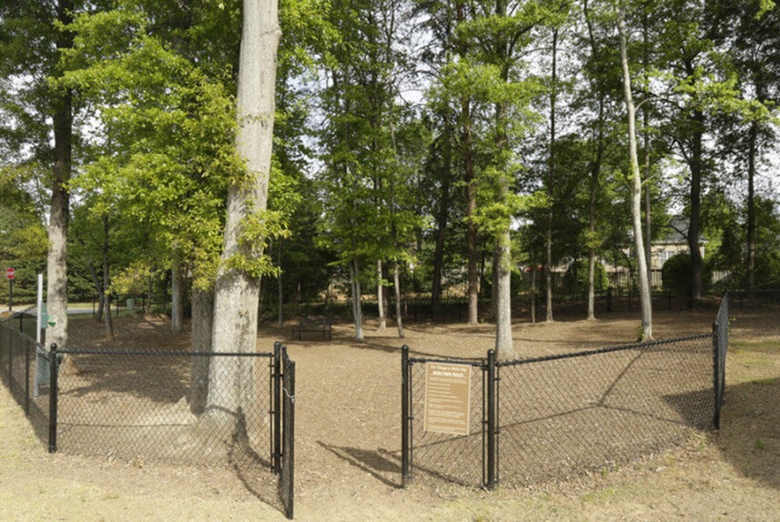 Bark Park